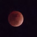 오늘 밤9시즈음에 Red Moon 이미지