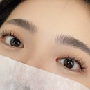 경기광주 속눈썹펌, 연장 추천 | 경안동 1:1 프라이빗 샵 &#39;일리아뷰티&#39; 내돈내산 리얼후기
