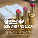 더샤인디테일 | 촉촉한립스틱추천 샬랑 드 파리 오뜨 쥬얼 샤인 립스틱 사용후기