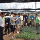 완도농장 이미지