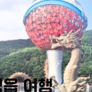 용산호호