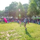 포레포레 이미지