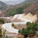 시라시스 이미지