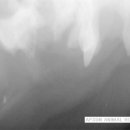 앞선동물병원 이미지