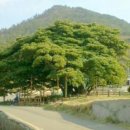 은하수펜션 이미지