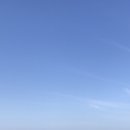 연포2020 이미지