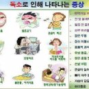 정왕점핑클럽
