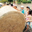 건초사료 이미지