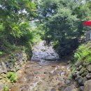 곰골산촌 | 광양 어치계곡 곰골산촌산장 수영장이 있는 힐링 장소