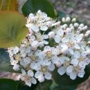 청풍농장 이미지