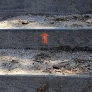 수락산길 이미지