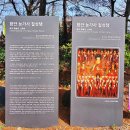 함안 능가사 칠성탱 이미지