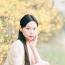 양재목련 | 벚꽃에 묻히는 순간, 양재시민의숲 벚꽃스냅 촬영 후기