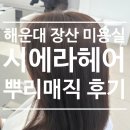 콤마헤어갤러리 2호점 | 해운대 장산역 시에라헤어 이다빈원장님 뿌리매직 만족후기