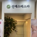 라인에스테 이미지