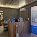 세포 | 피부줄기세포 재생시술 &amp; 리쥬비엘 필러 눈밑 후기