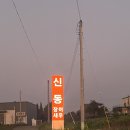 신동장어와새우