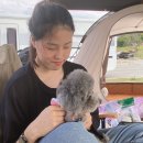 [구미근교/캠프닉/애견동반식당] 상주 낙단보 나래공원/문성 파이브캐럿(애견동반 식당)