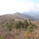 지리산 단풍비 이미지