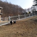 박순호의 아이슬란드 이미지