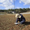 태안군농업기술센터 이미지