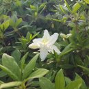 여학생비상에듀기숙학원 이미지