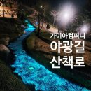 루미 컴퍼니 이미지