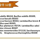 진라이프 이미지