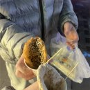 스파클럽 이미지