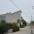 주말 나들이 영종도 물회 선녀풍 본점 &amp; 포게스트 커피