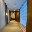 문정6 | [WD.6] 더컨벤션 문정 견적 공유 계약 후기 26년 상반기 아모르홀 홀투어