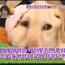 하이디 - 경산시 원효로32길 11 | 하이디