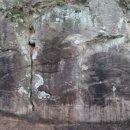 극락정사 아미타여래회도 이미지