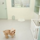 멍문살롱 이미지