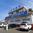고령시외버스터미널 네이버블로그