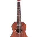 (초보자를 위한) 우쿨렐레 이미지