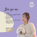 담담 그루밍 샵 이미지