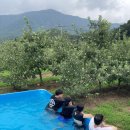 사과밭펜션 이미지