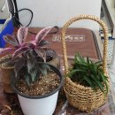 중앙식육점 이미지