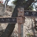 완산-135 Daum카페