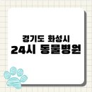24시동탄윌동물의료센터 | [전국 24시 동물병원 지도 #21] 경기도 화성시 편 : 동탄·봉담 응급 의료센터 정리