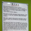 파주 메기 매운탕 찐맛집 송지메기매운탕 솔직후기