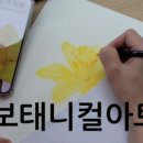 [성인] 색연필로 그리는 꽃 그림 보태니컬 아트 이미지