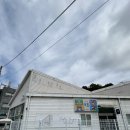 굿독 애견미용클럽 | 과천 애견미용실 또몽에서 말티푸 미용&amp;프리미엄 스파 후기