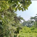 엘린펜션 이미지