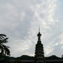 밀양팜영농조합법인