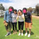 신마농장 이미지