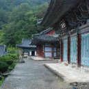 유평농장 | 심재근의 우리땅 순례 (121) 산청 (10) 삼장면 방장산 대원사~덕천강 대포숲