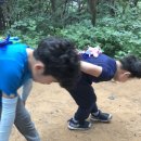월평초등학교병설유치원 이미지