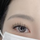 상동 속눈썹 연장 해이블링에서 받은 상동 속눈썹 연장 후기